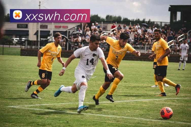 九游j9备用官网平台生态图