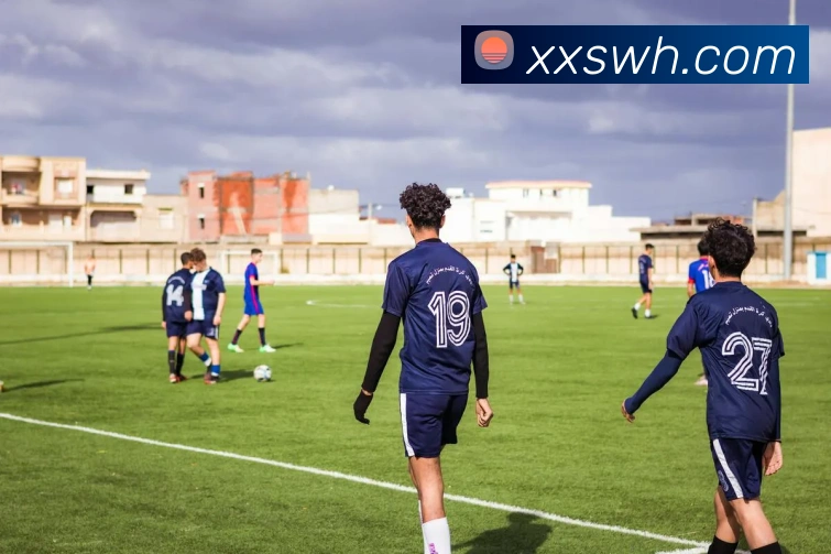 九游j9备用官网APP 封面图